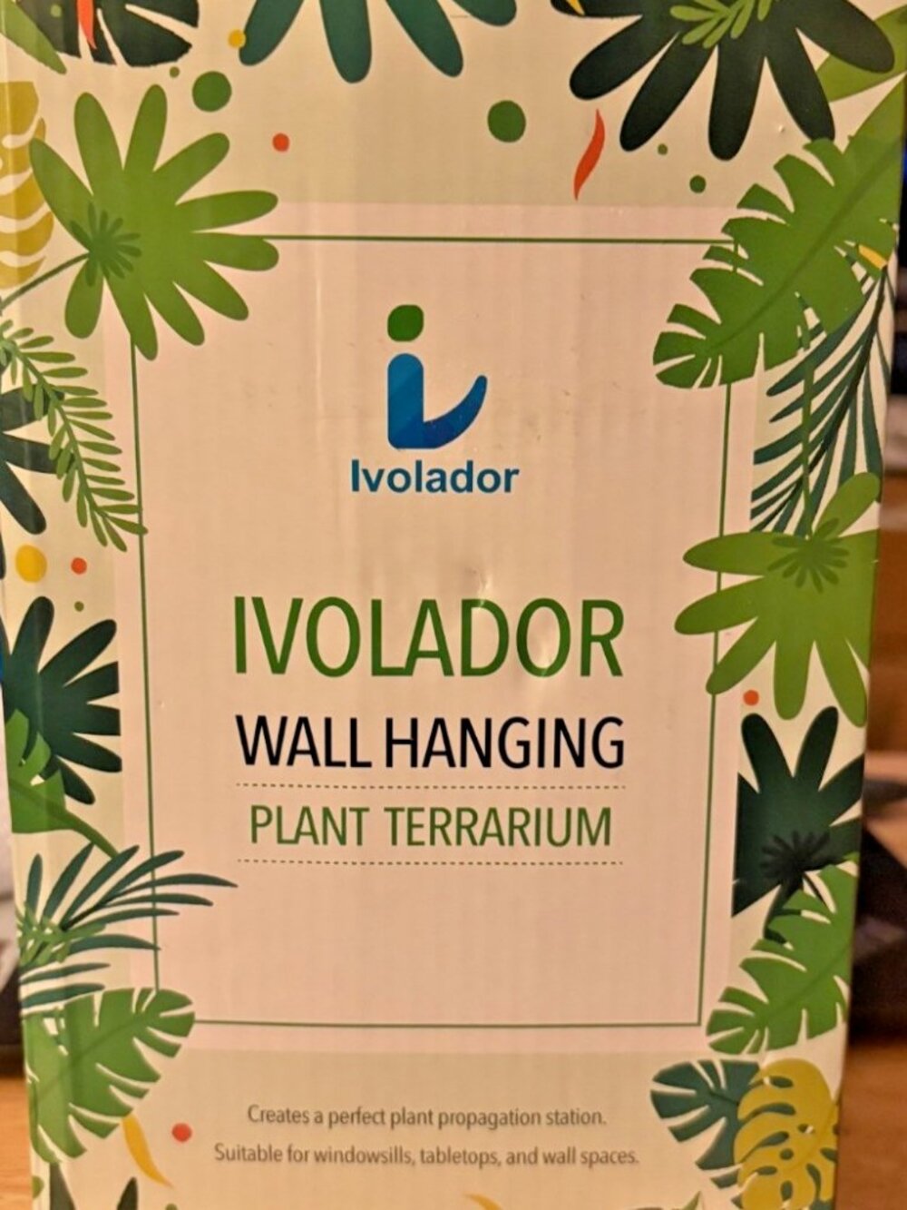 Ivolador Wall Hanging Plant Terrarium With Wooden Frame Glass Tubes Houseplants